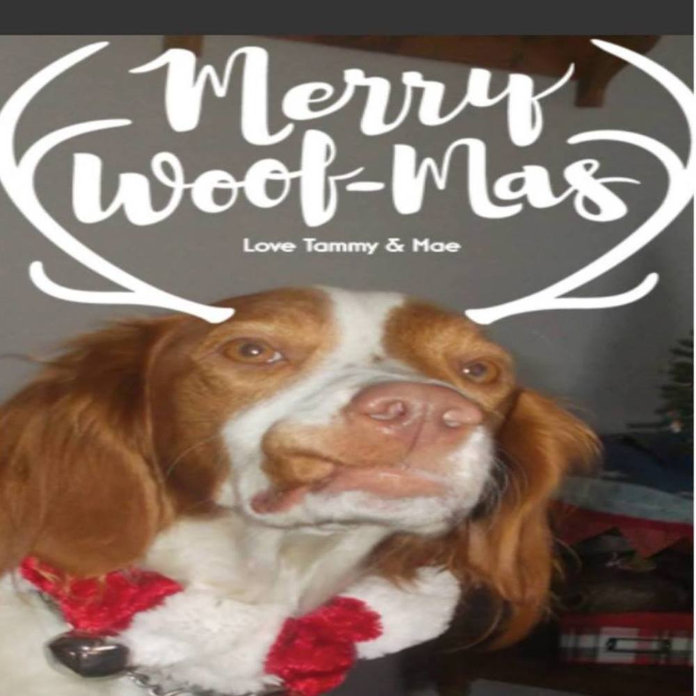 Meet your Posher, Tammy